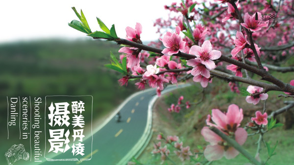 丹棱县旅游形象宣传画册设计