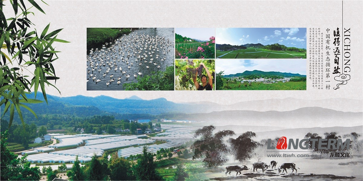 西充县旅游宣传画册设计