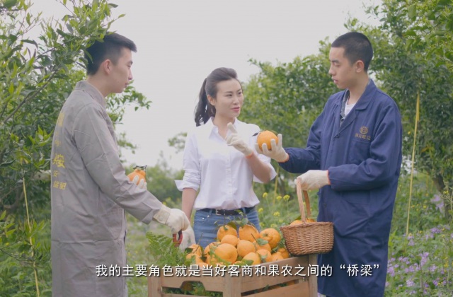 “橙就美好”丹棱丑柑宣传片——卢婷专题片