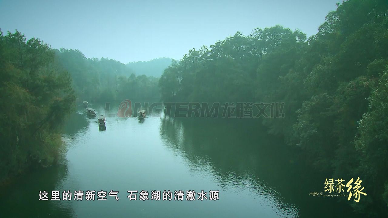 嘉竹茶业宣传片_茶叶公司形象宣传片拍摄制作_茶叶广告片_茶叶企业宣传片