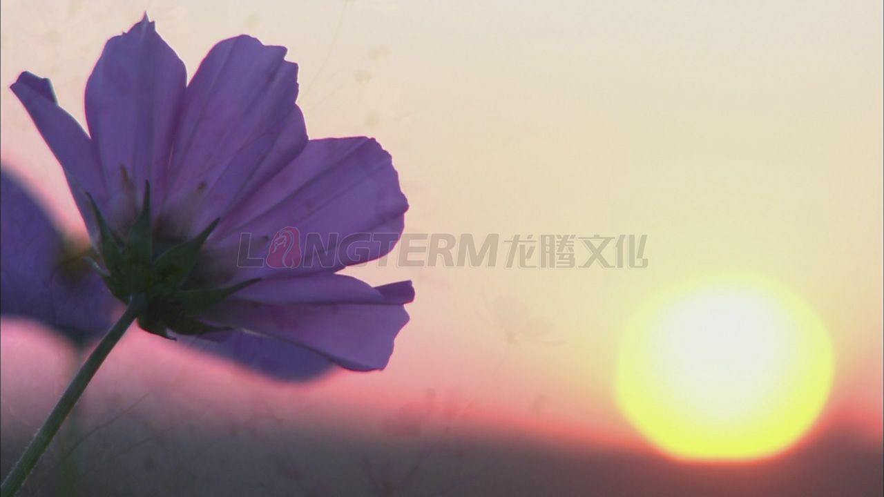 华为集团公司微电影_华为公司微电影_华为公司企业宣传片_华为公司专题宣传片拍摄制作 华为集团公司微电影_华为公司微电影_华为公司企业宣传片_华为公司专题宣传片拍摄制作