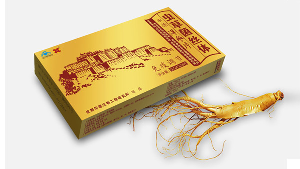 虫草菌丝体礼盒包装设计