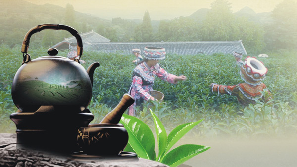 叙永县茶文化节四折页宣传广告设计
