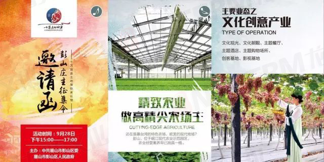 【城会玩】比鼓还要大的象棋见过没？