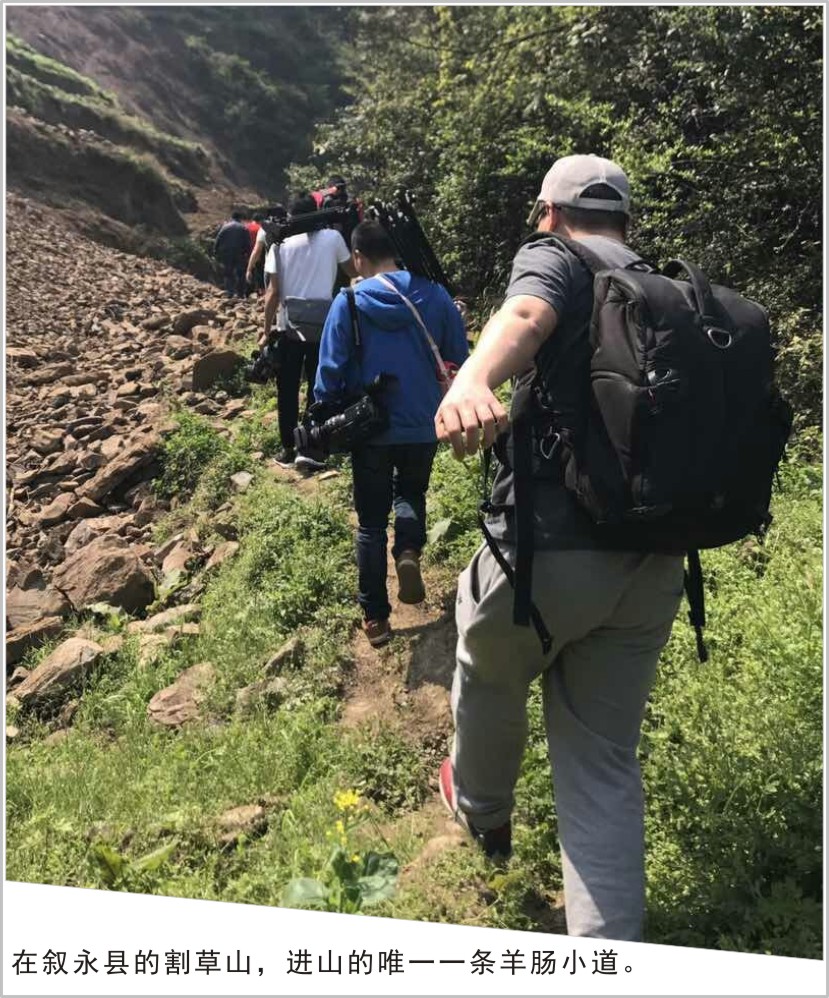忙，忙，忙并快乐着：龙腾文化四部影视大片齐开机！