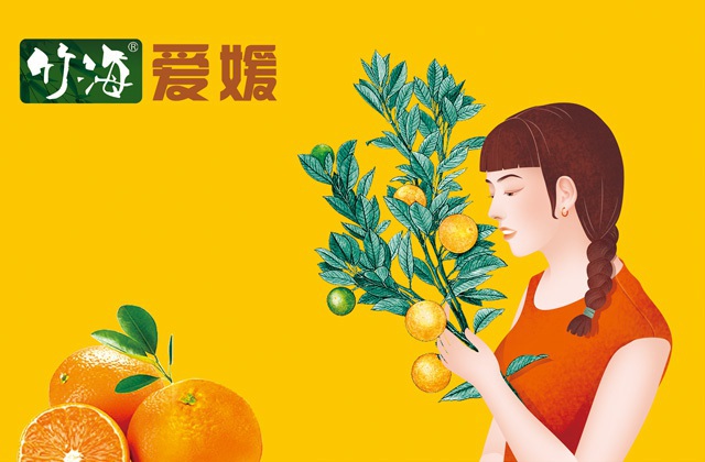 高低端企业宣传片的区别