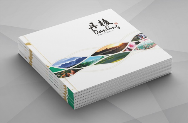 丹棱县城市形象宣传画册设计