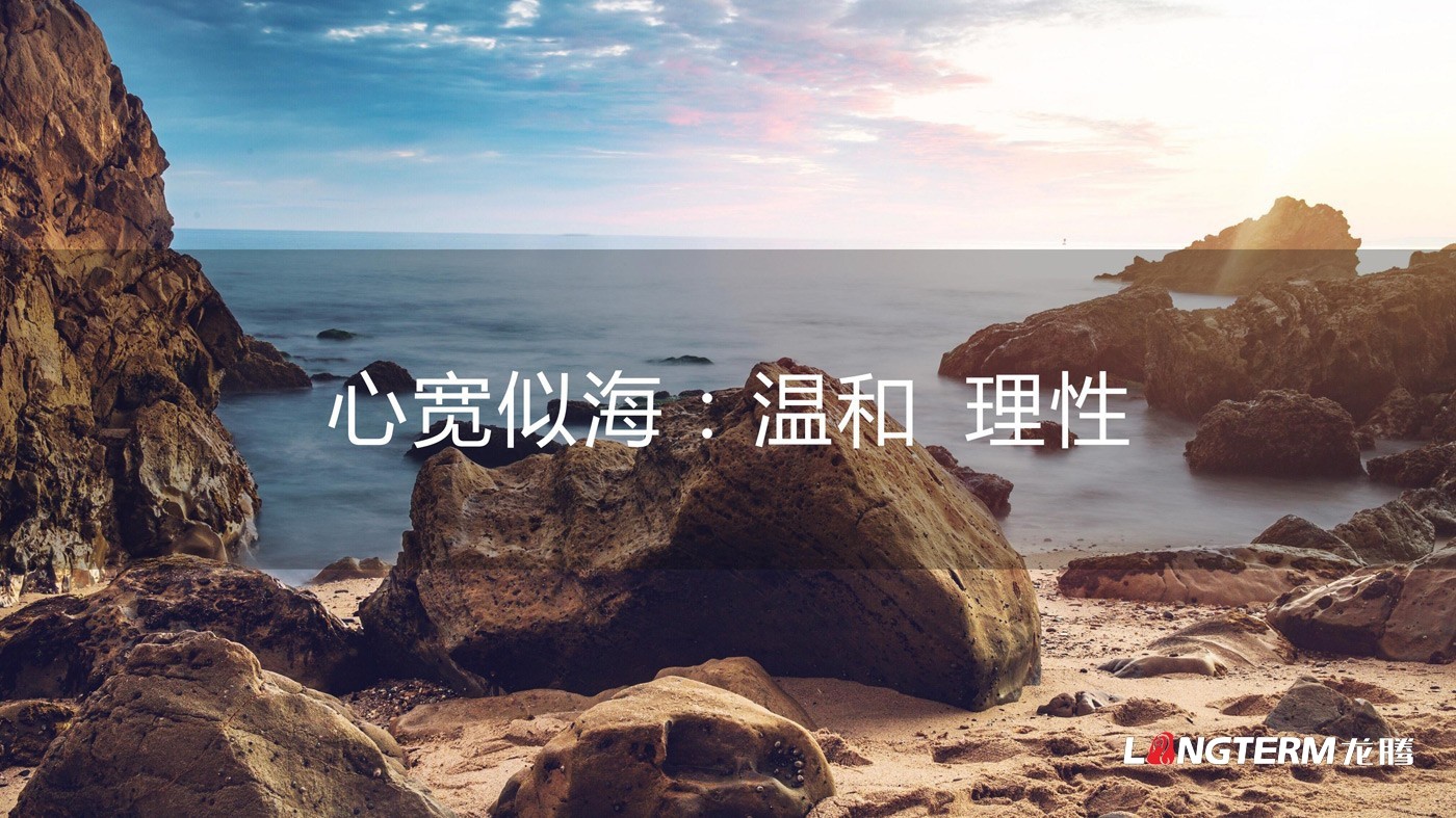 四川海岩声学科技有限公司LOGO设计方案及全套视觉设计方案