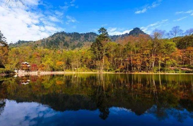 雅安市石棉县保护区成立20周年成果展现宣传片《栗子坪国家级自然保护区成立 20 周年回顾》制作内容