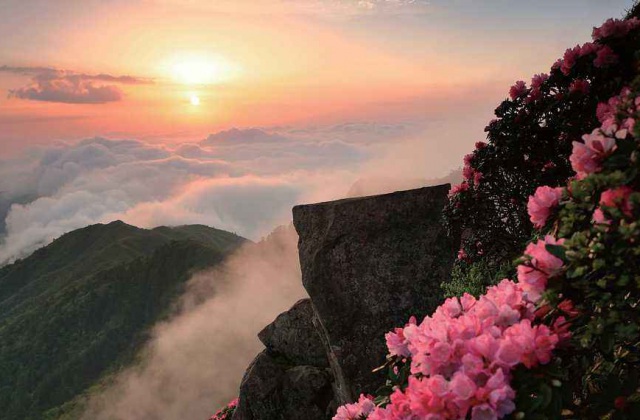 中国光雾山-诺水河世界地质公园科普系列宣传片拍摄制作内容详情