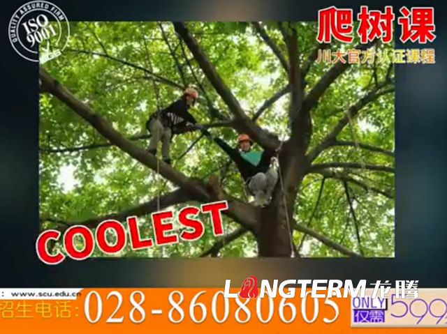 完爆清华招生宣传片的“川大招生宣传片”，看完还想二刷的“内味”热血影片