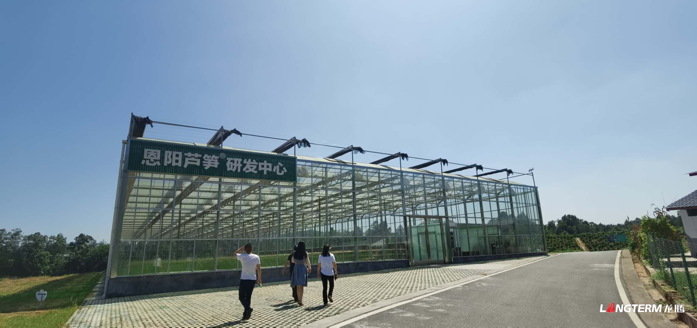 “恩阳芦笋”项目踩点