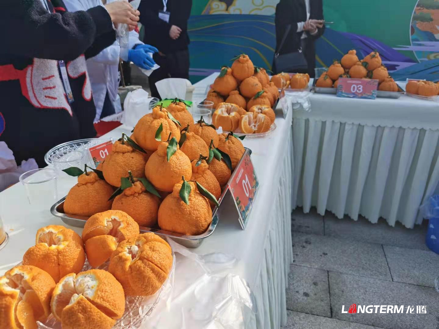 2021第九届丹棱·不知火种植技术大比武完美落幕