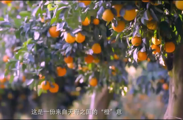 公司的宣传片怎么写脚本?企业宣传片脚本的写作思路