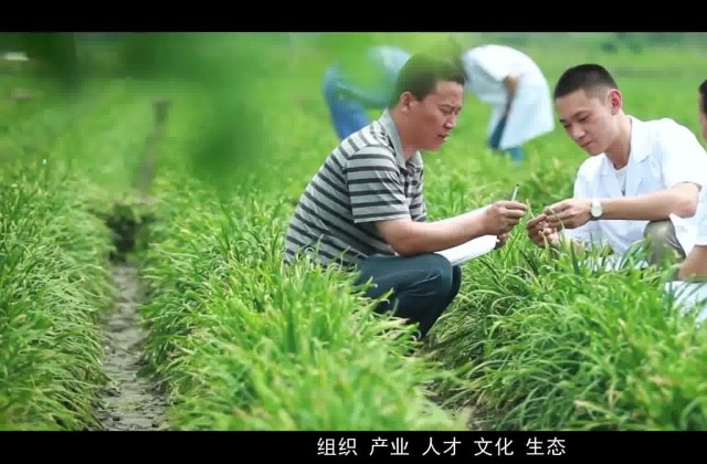 如何打造独特的产品宣传片视频?