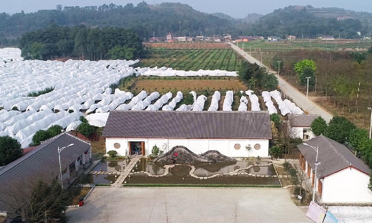 德阳乡村旅游民宿宣传片制作过程是什么？