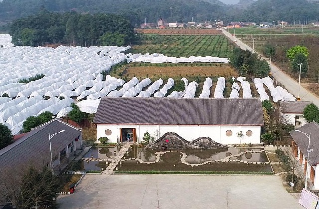 德阳乡村旅游民宿宣传片制作过程是什么？